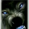 dwat0621bv2