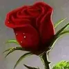 user5781910234520