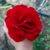 dounia37361818