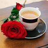 maryanxasanahmed1