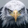 user5919462308001