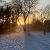 rayanshahbaz8