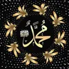 user6152000682600