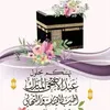 mna_313.k