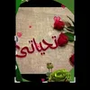 worood12334