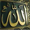 user8008177290661