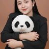 panda9_09