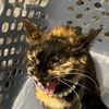 princesssalem222