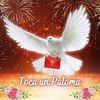 patriciomaldonad95