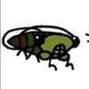 pidgecicada.man
