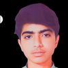 meermengal486