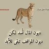 startksaf_1351