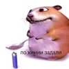 ni4ks_lavkes