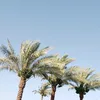 ahmadabd680