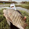 Viral Fishing