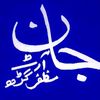 jaan.painter.786