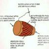 user5509561061556