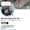 Ngọc Phù Tô