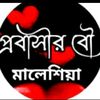 hamid.hadisa