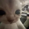_l8qxi