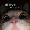 xyt_ndy