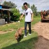 monkeysslot