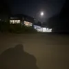 alpharapecummolest