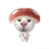 t.nhu170605