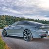 peugeot__guy