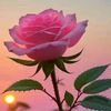 user1987661940026