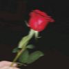iii_vip2000