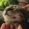 kai.kaiiiiiiiiiii