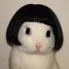 user131287720017
