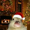 pietro_723