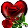 user9988081481638