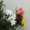 rezanmajid3