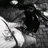 rzaardnsyhh