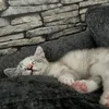 mandyayranci