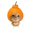 dgfjlz
