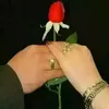 haweeyayar