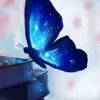 user6197007713106