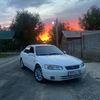 erekee.28