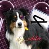 dog_edetor