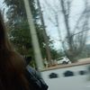 _lodovici.emma_