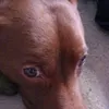 miguelcerratocasa