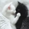 taurusgirl176