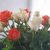 user4555040812502