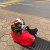 .koba46