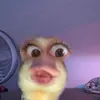 gabialbuquerq_