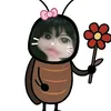 quynh_giao213